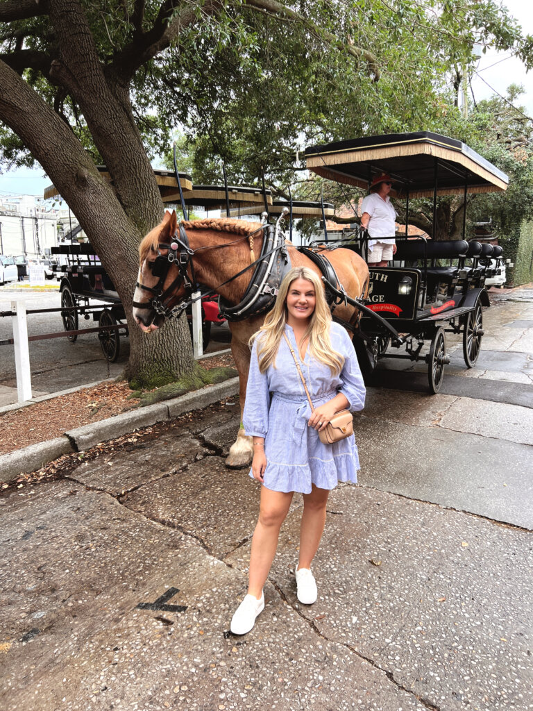 Horse Carriage tour in Charleston 