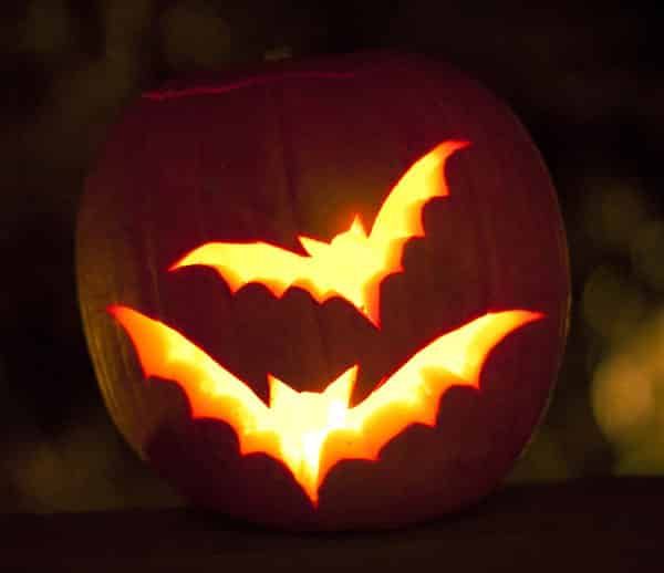 Pumpkin Carving Ideas