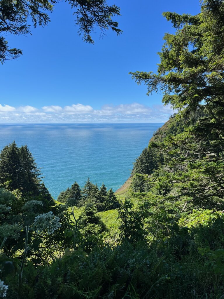 Neahkahnie South Viewpoint Oregon Coast