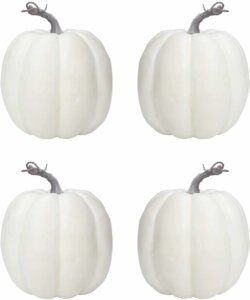 white pumpkins for decor