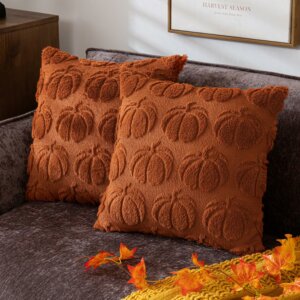 Pumpkin Fall Decorative Throw Pillow Covers 